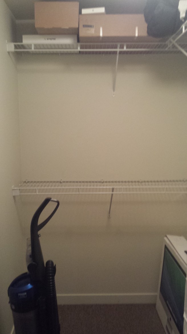 My newly mostly-empty guest closet with boxes.